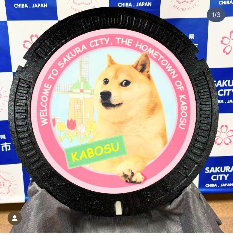 经典Meme Doge狗的原型于周五离世根据它的主人在 Instagram 上发布的消息，Kabosu 去世时已经 18 岁了