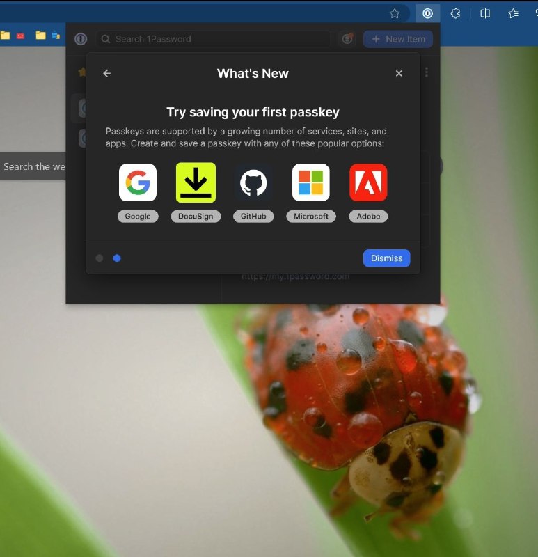 1Password 浏览器插件现已支持 Passkey 功能