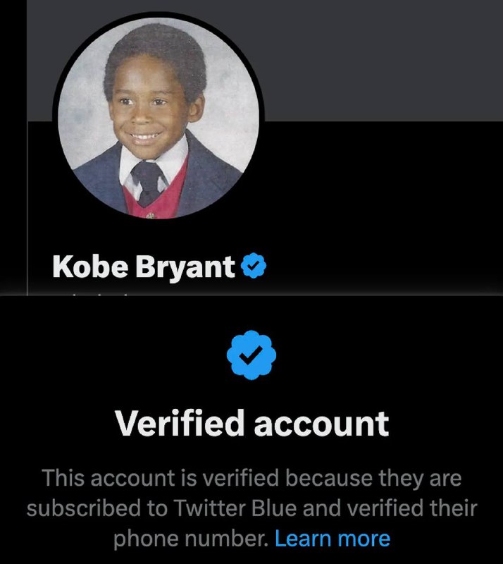 Twitter 正在恢复部分名人的✅认证，包括一些已故名人一些人推测，推特为拥有超过100万粉丝的帐户恢复了蓝色勾号——尽管，一些没有这个粉丝数量的帐户也得到了蓝色勾号
