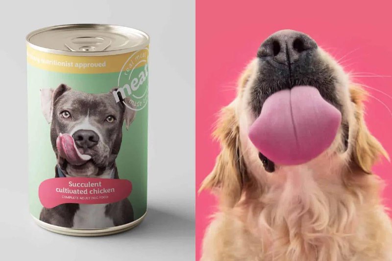 英国成为首个允许销售实验室培养肉的欧洲国家总部位于伦敦的宠物食品初创公司 Meatly 是第一家获得许可销售培养鸡肉产品的欧洲公司，首先将用宠物而不是人类消费者来做试验