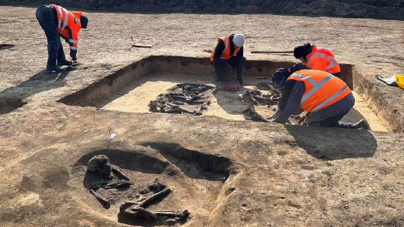 英特尔德国芯片工厂施工遇阻，发现 6000 年历史古墓在英特尔拟定的德国马格德堡工厂开发区，考古人员发现了两座新石器时代的古墓，可能会导致施工项目延期