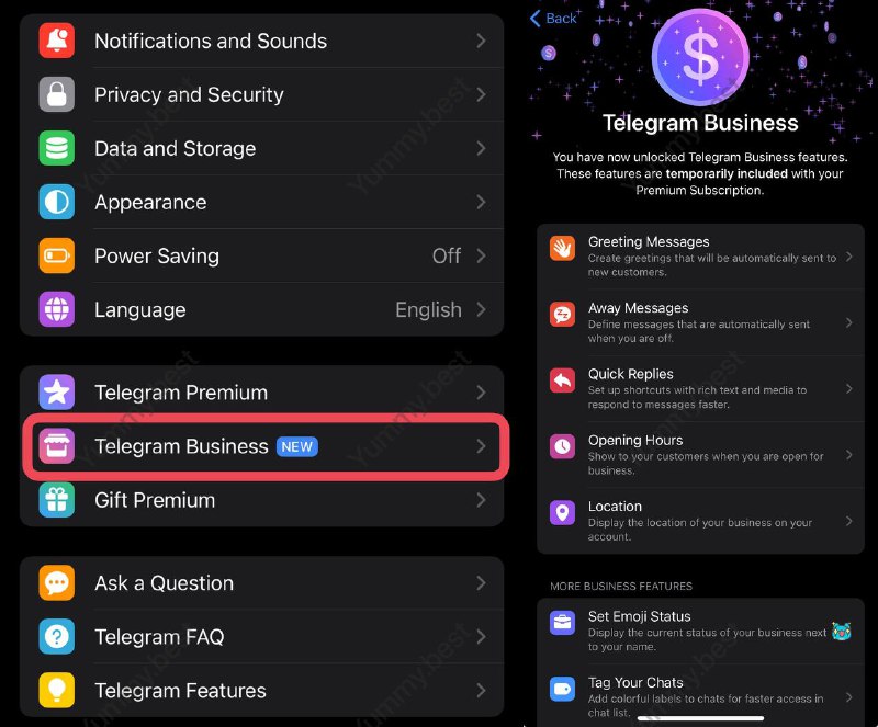 Telegram Business 会员正式上线，可单独订阅•问候语：添加将自动发送给新客户的欢迎消息