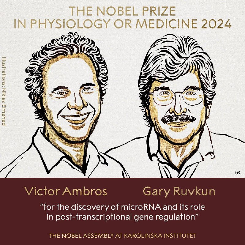 Ambros、Ruvkun获得2024年诺贝尔生理学或医学奖北京时间2024年10月7日下午5点30分许，2024年诺贝尔生理学或医学奖揭晓