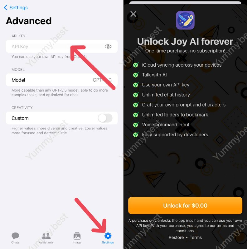 今天的限免 Joy AI 领取方式比较抽象Settings 👉 Advanced 👉 点击API Key，即可出现$0解锁内购